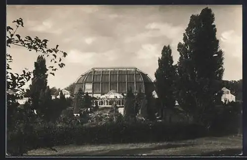 AK Berlin-Steglitz, Botanischer Garten, Italienischer Garten mit Schauhäusern