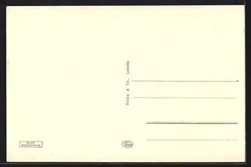 AK Salzwedel, Steintor mit Strassenpartie