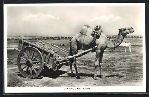 AK Kamelwagen in Aden