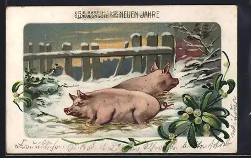 AK Zwei Schweine im Schnee - Neujahrsgruss