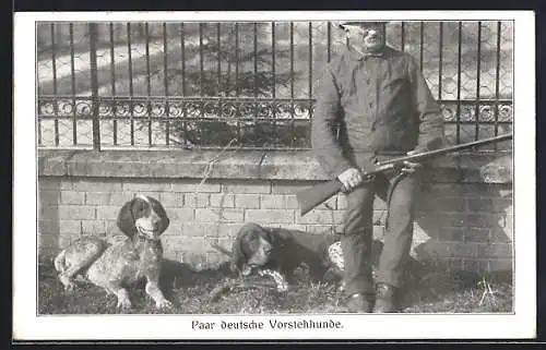 AK Zwei deutsche Vorstehhunde mit einem Jäger