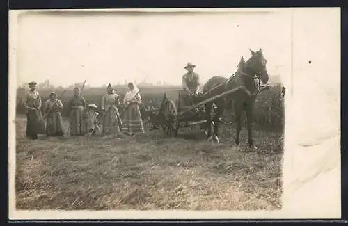 AK Pferd vor einem landwirtschaftlichen Wagen