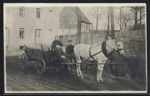 AK Pferd vor einem einfachen Wagen