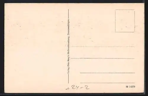 AK Donaueschingen, Ortsansicht nach dem Brand am 5. August 1908