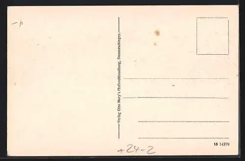 AK Donaueschingen, Stadt nach dem Riesenbrand von 1908