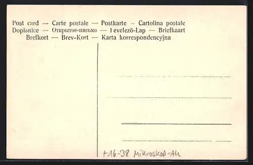 Mikroskop-AK Hamburg, Esplanade, Uhlenhorst, Spielbudenplatz, Alsterpavillon, Hafenkrankenhaus, Alsterarkaden