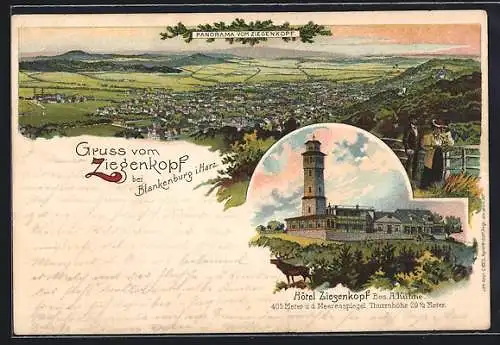 Lithographie Blankenburg /Harz, Hotel Ziegenkopf, Totalansicht