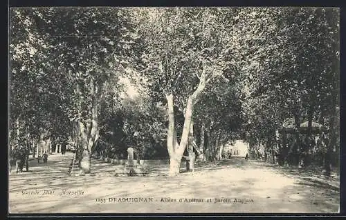 AK Draguignan, Allées d`Azémar et Jardin Anglais