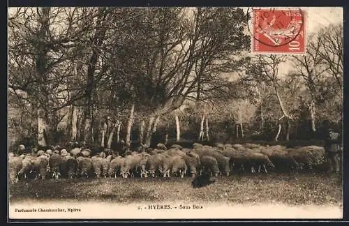 AK Hyères, Sous Bois