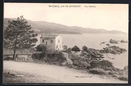 AK St-Clair /Le Lavandou, Les Baleines