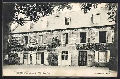 AK Nedde /Hte-Vienne, Villa des Pins