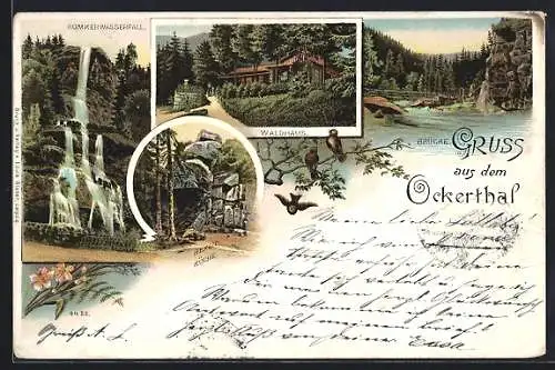 Lithographie Ockerthal, Romkerwasserfall, Hexen-Küche, Waldhaus, Brücke