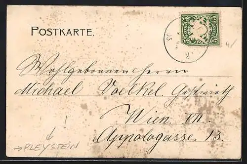 AK Pleystein, Ortsansicht