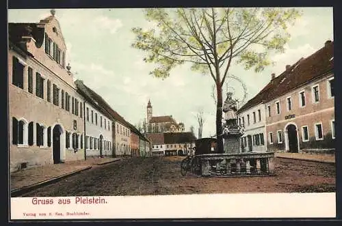 AK Pleystein, Strassenpartie mit Denkmal, Geschäftshaus und Kirche