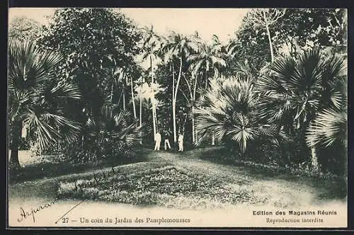 AK Mauritius, Un coin du Jardin des Pamplemousses