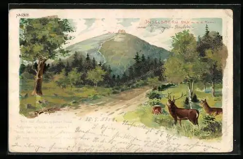 Lithographie Inselberg, Hirsch und Reh an Wegesrand, Gedicht