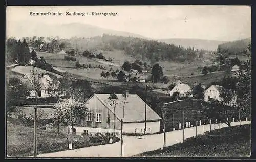 AK Saalberg i. Riesengebirge, Ortsansicht mit Landstrasse