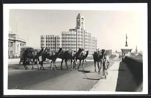 AK Karachi, Dromedare und Bus auf einer Strasse