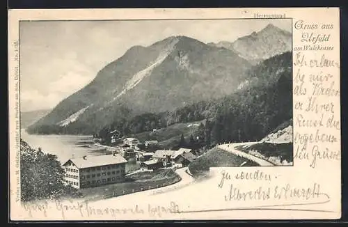 AK Urfeld am Walchensee, Ortsansicht mit Herzogstand