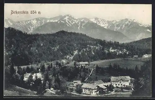 AK Birkenstein, Ortsansicht mit Bergpanorama aus der Vogelschau