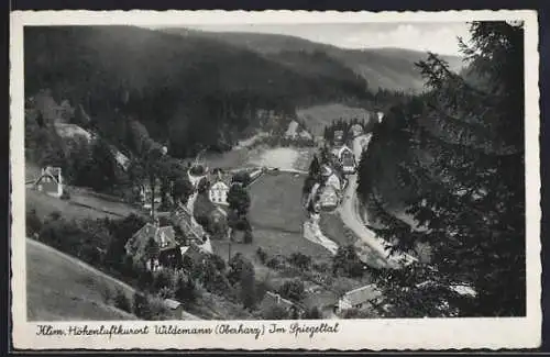 AK Wildemann /Harz, Im Spiegeltal, Ortsansicht