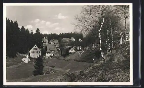 AK Kniebis /Schwarzwald, Ortspartie am Waldrand