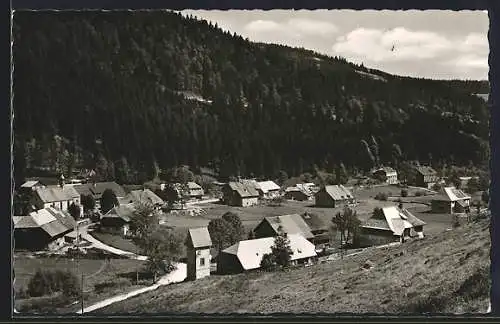 AK Menzenschwand /Hochschwarzwald, Hinterdorf aus der Vogelschau