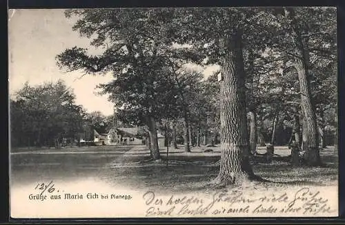 AK Maria Eich /Planegg, Waldweg an der Kirche