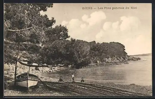 AK Giens, Les Pins penchès du Niel