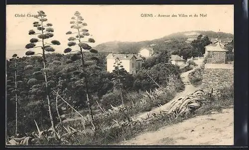 AK Giens, Avenue des Villas et du Niel