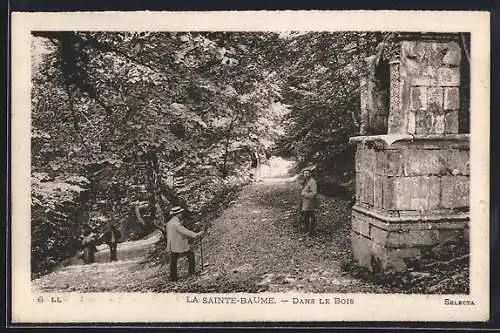 AK La Sainte-Baume, Dans le Bois