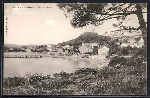 AK Le Lavandou, Vue Générale