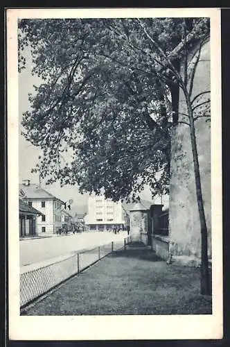 AK Turciansky-Sväty Martin, Strassenpartie mit grossem Baum