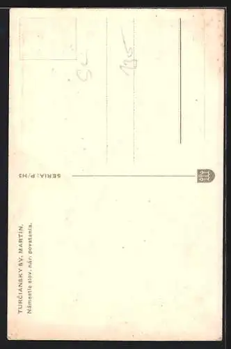 AK Turciansky-Sväty Martin, Strassenpartie mit grossem Baum