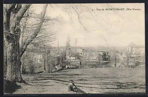 AK Mortemart, Vue Gènèrale