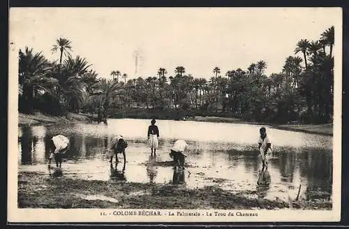 AK Colomb-Béchar, La Palmaraie, Le Trou du Chameau