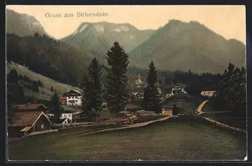 AK Birkenstein, Ortsansicht mit Gebirge