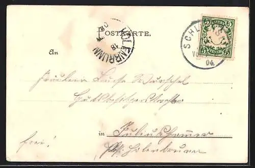 Lithographie Schliersee, Panoramaansicht