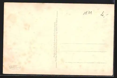 AK Konstanz a. Bodensee, Inselhotel und Rhein vom Flugzeug aus