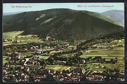 AK Bad Blankenburg / Thür., Blick vom Greifenstein