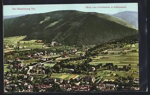 AK Bad Blankenburg / Thür., Blick vom Greifenstein