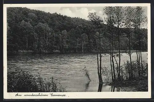 AK Tiefensee /Mark, Am Gamensee