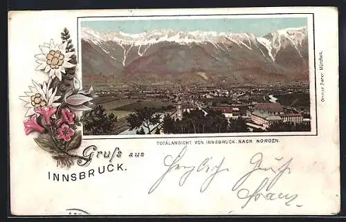 Lithographie Innsbruck, Totalansicht gegen die Berge