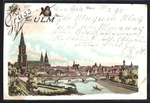 Lithographie Ulm / Donau, Ortspanorama mit Münster und Brücke, Vogel, Bootspartie