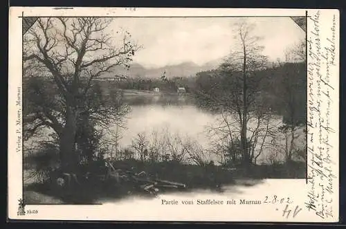 AK Murnau / Obb., Partie vom Staffelsee mit Ortsblick