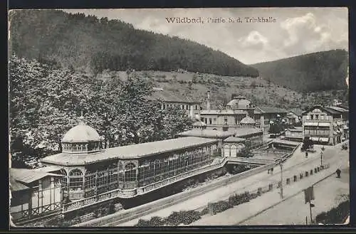 AK Wildbad / Schwarzwald, Partie bei der Trinkhalle