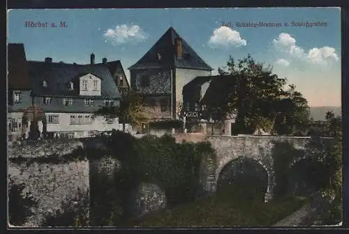 AK Höchst a. M., Zoll mit Brüning-Brunnen und Schlossgraben