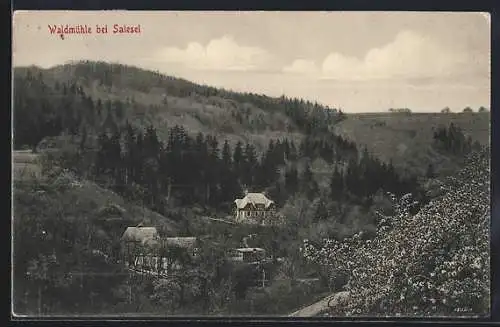 AK Waldmühle bei Salesel, Ortsansicht im Tal