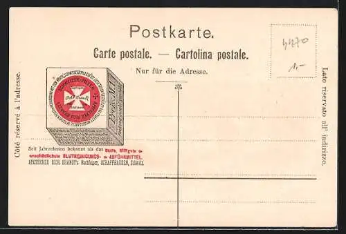 Lithographie Zürich, Stadtansicht mit den Alpen