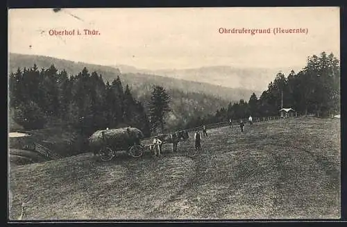 AK Oberhof i. Thür., Heuernte am Ohrdrufergrund